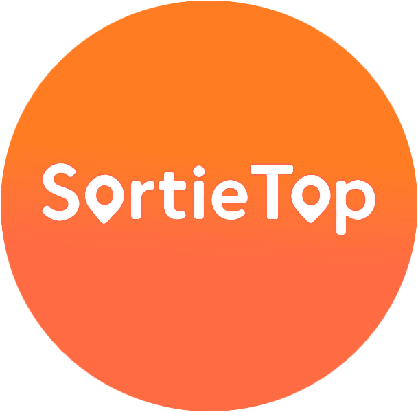 SortieTop Logo